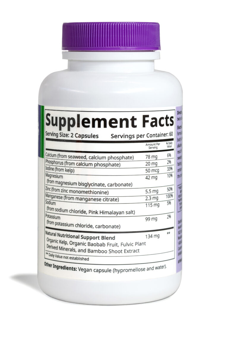 ElectroLife – Back NR-sm