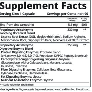 AriseNzyme-SF-flat